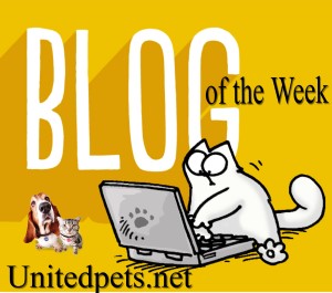 blog of the week award